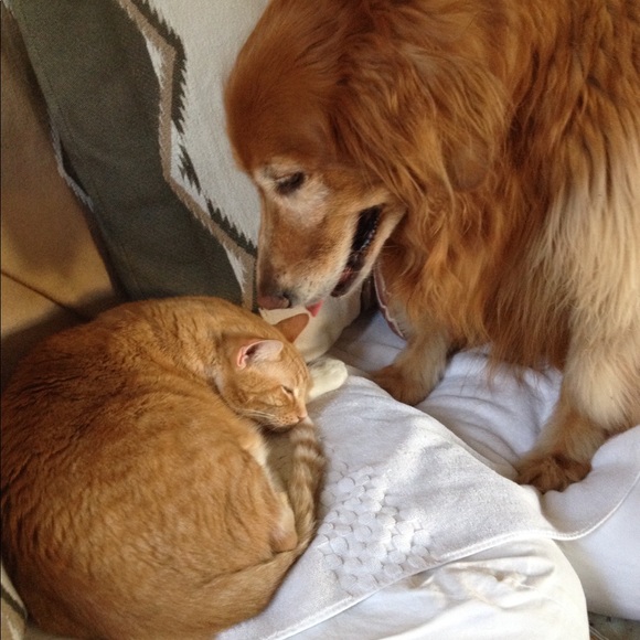 Meet the Posher - Picture 2 of 8